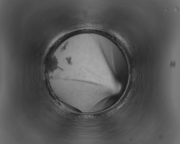 X0000089381310200707131650