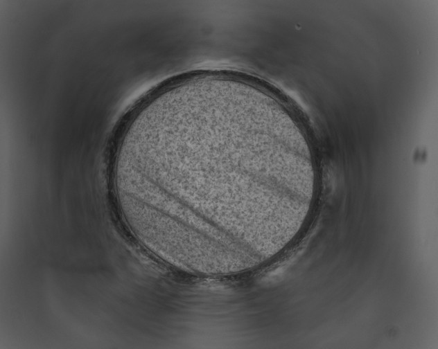 X0000089381311200707131650