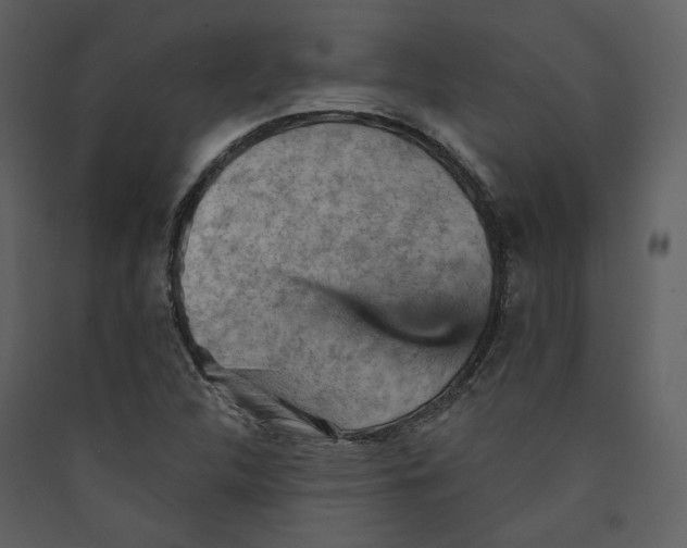 X0000089381312200707131650