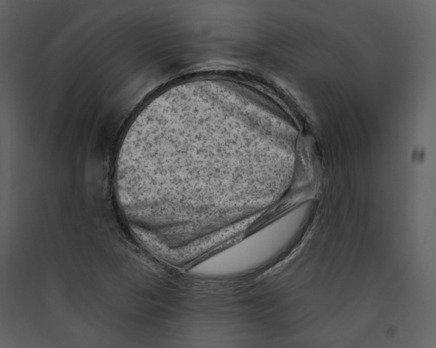 X0000089381313200707131650