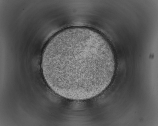 X0000089381314200707131650