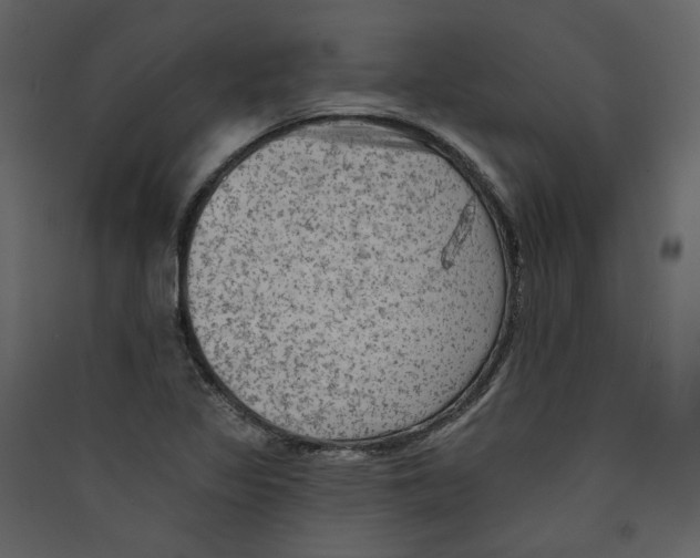 X0000089381317200707131650