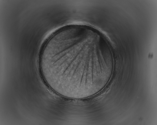 X0000089381319200707131650