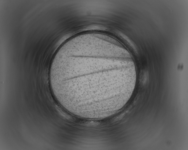 X0000089381321200707131650