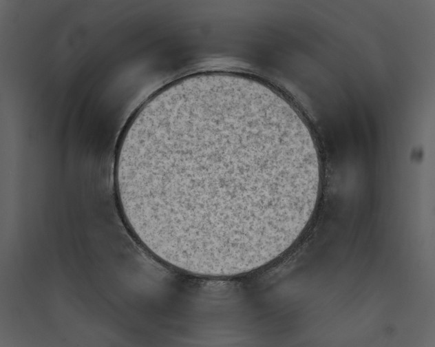 X0000089381322200707131650