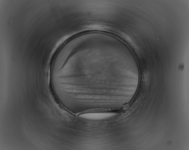 X0000089381323200707131650