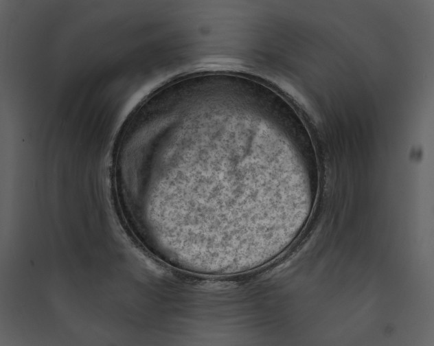 X0000089381325200707131650