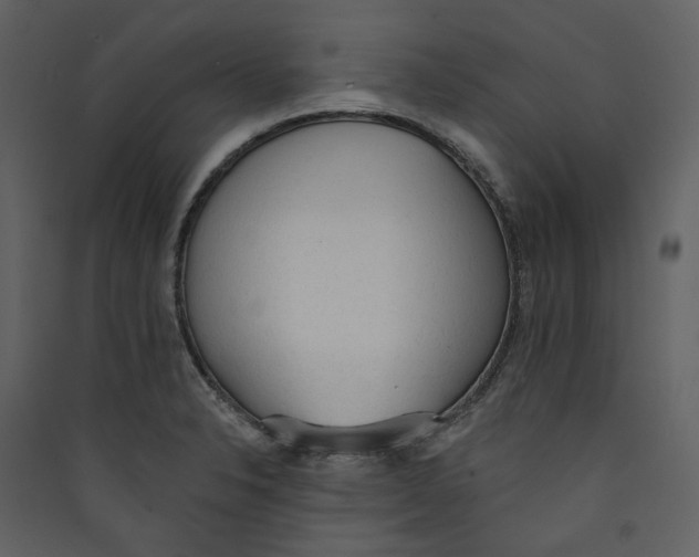 X0000089381326200707131650