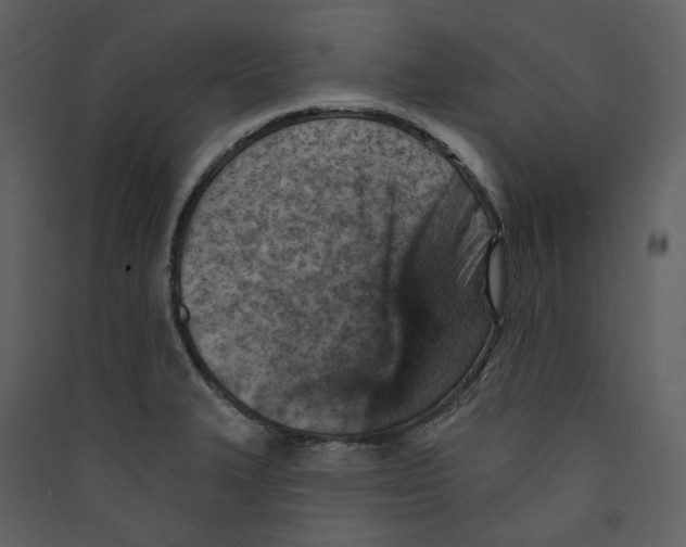 X0000089381327200707131650