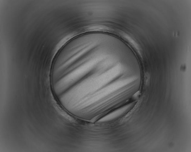 X0000089381330200707131650