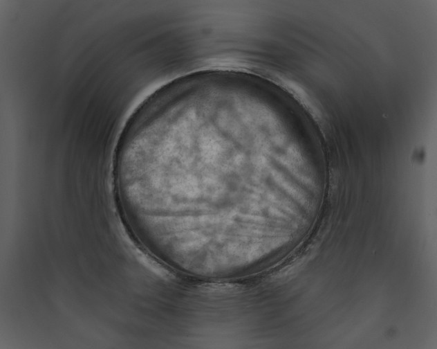 X0000089381331200707131650