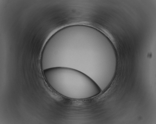 X0000089381332200707131650