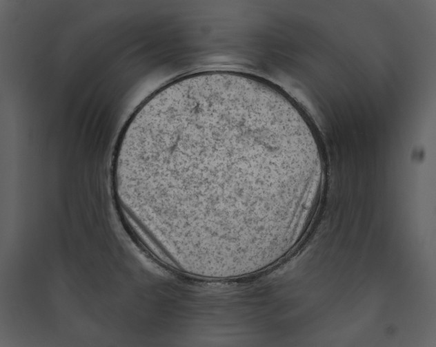 X0000089381333200707131650