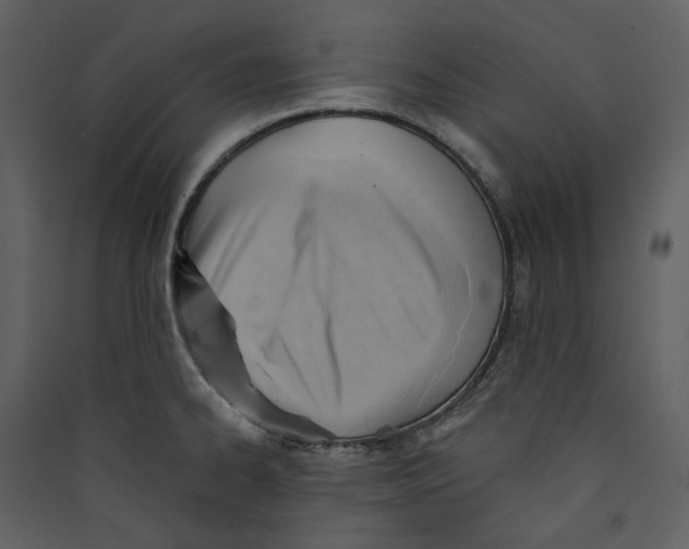 X0000089381334200707131650