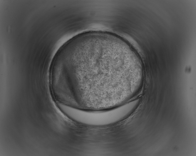 X0000089381335200707131650