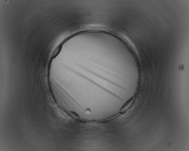 X0000089381336200707131650