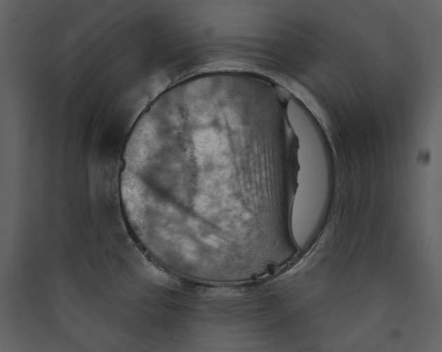 X0000089381337200707131650