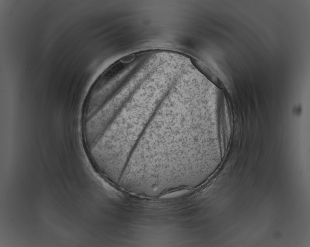 X0000089381339200707131650