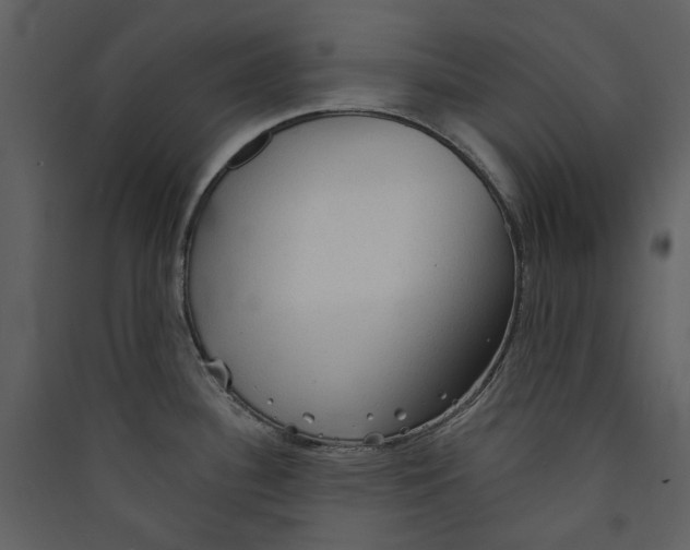 X0000089381340200707131650