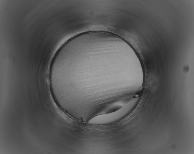 X0000089381342200707131650