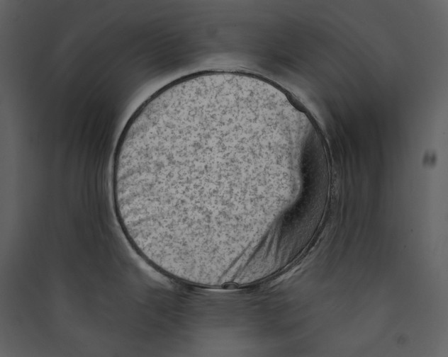 X0000089381343200707131650