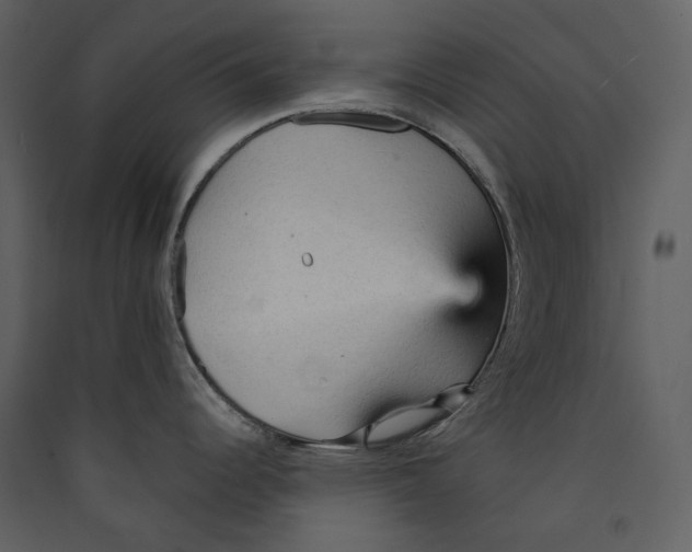 X0000089381344200707131650