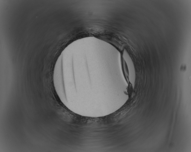 X0000089381345200707131650