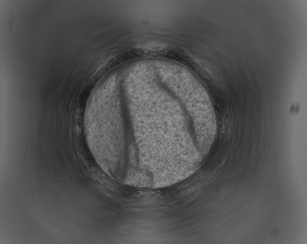 X0000089381346200707131650