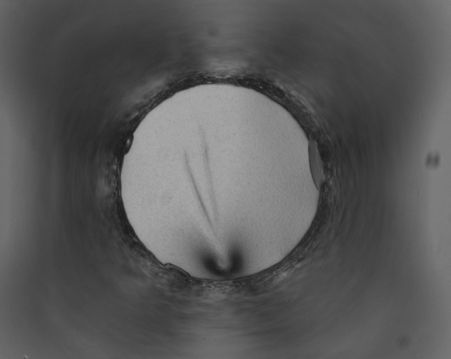 X0000089381349200707131650