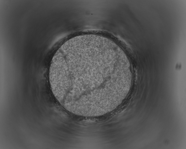 X0000089381351200707131650