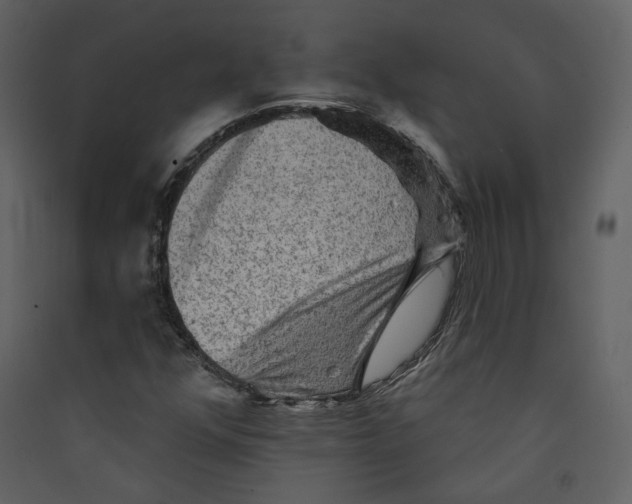 X0000089381352200707131650