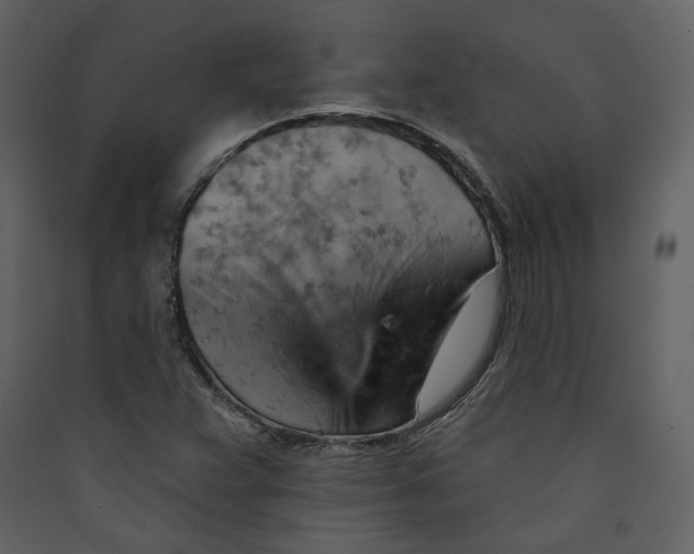 X0000089381359200707131650