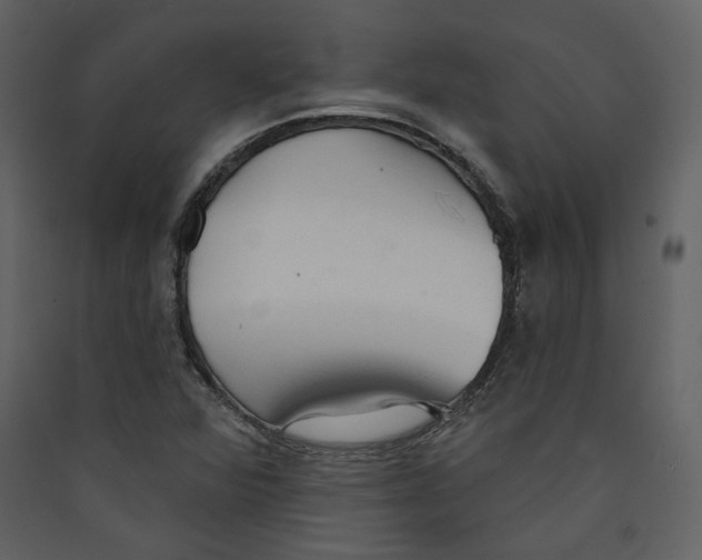 X0000089381360200707131650