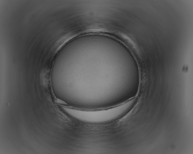 X0000089381361200707131650