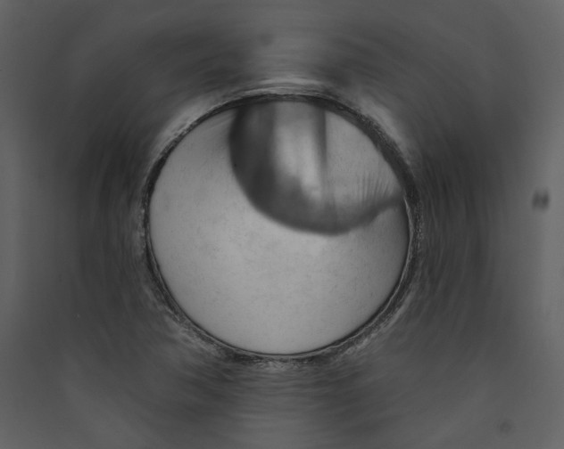 X0000089381362200707131650