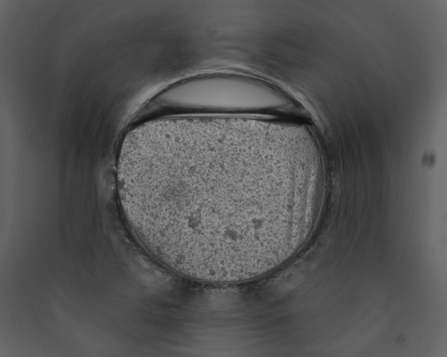 X0000089381363200707131650