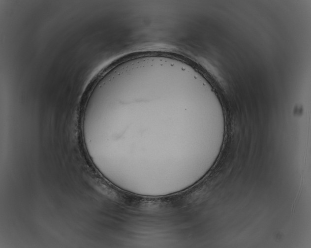 X0000089381364200707131650