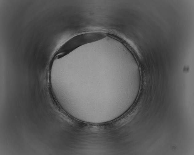 X0000089381365200707131650