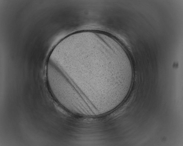 X0000089381366200707131650