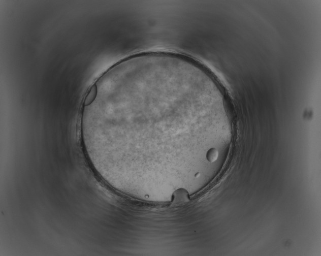 X0000089381367200707131649