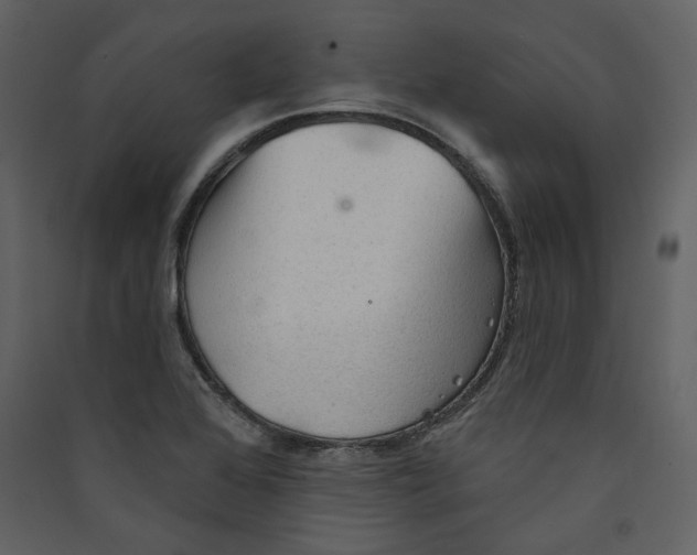 X0000089381368200707131649