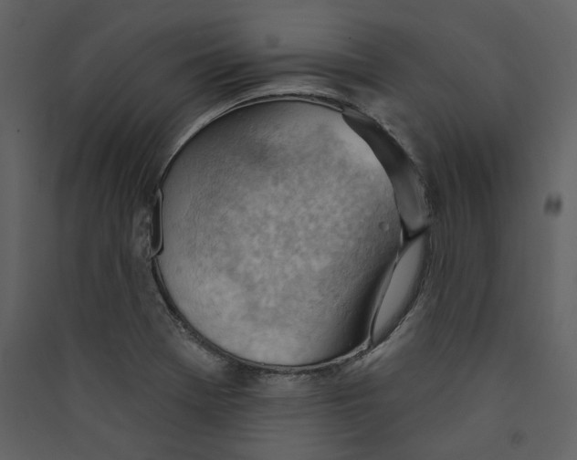 X0000089381369200707131649