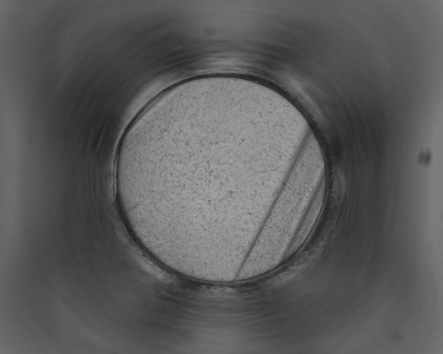 X0000089381370200707131649