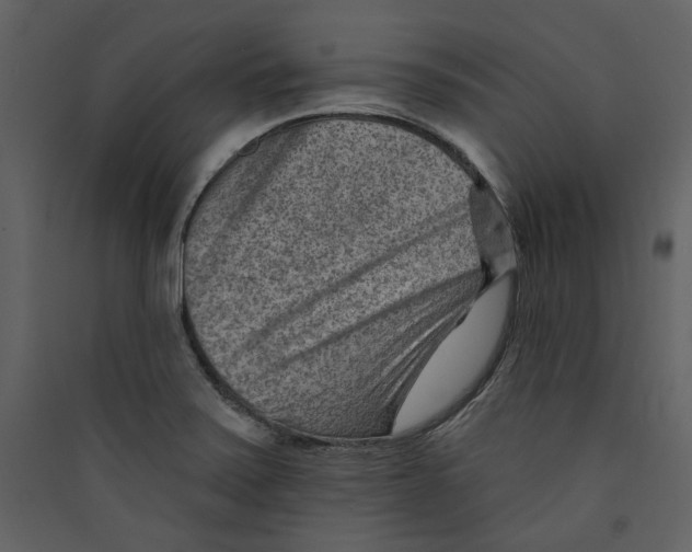 X0000089381371200707131649