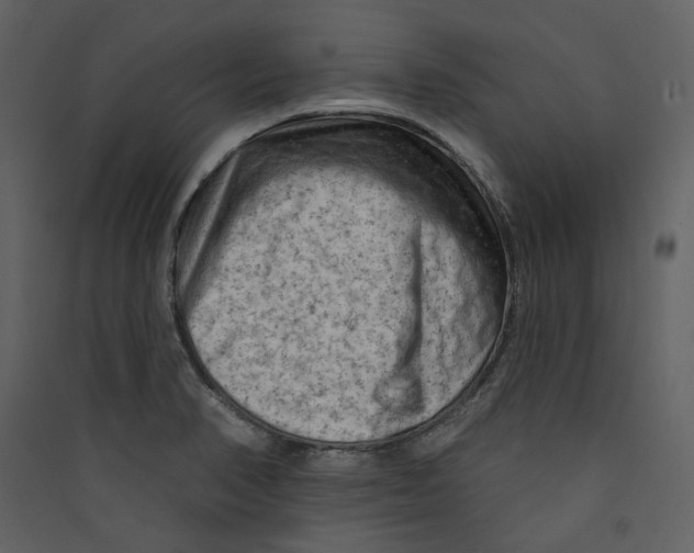 X0000089381374200707131649