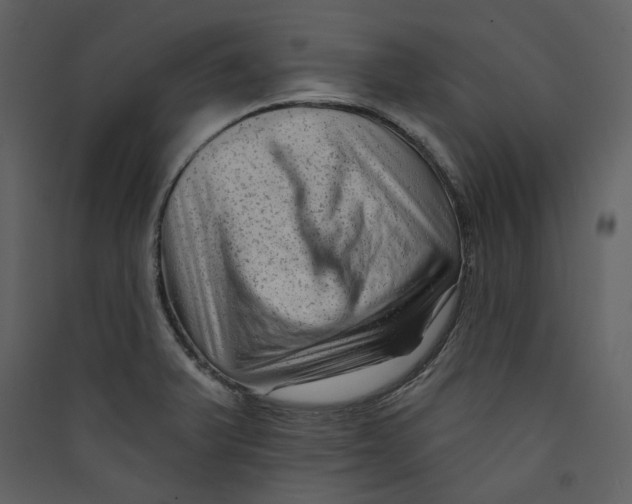 X0000089381375200707131649