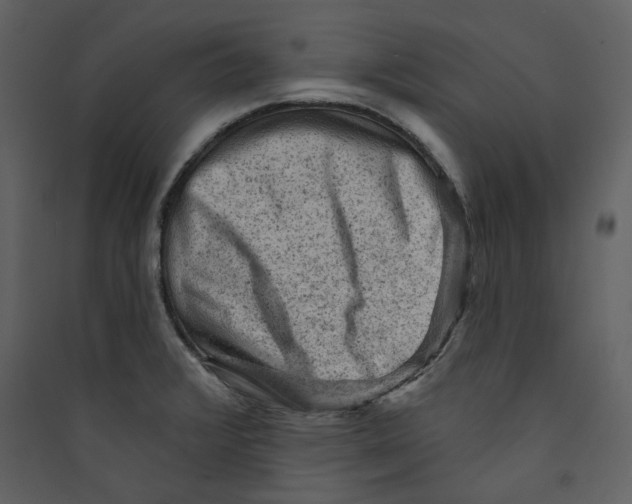 X0000089381376200707131649