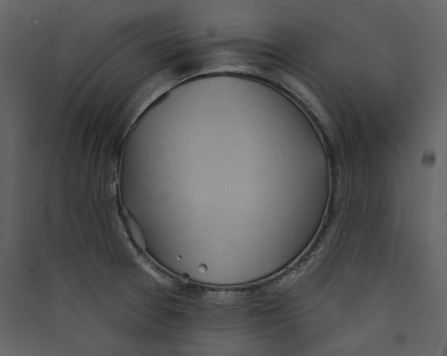 X0000089381377200707131649