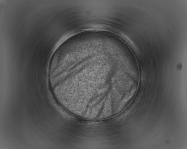 X0000089381378200707131649