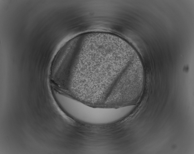 X0000089381379200707131649